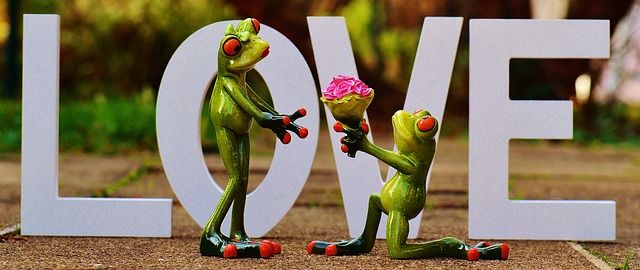 animation-mariage-temoins